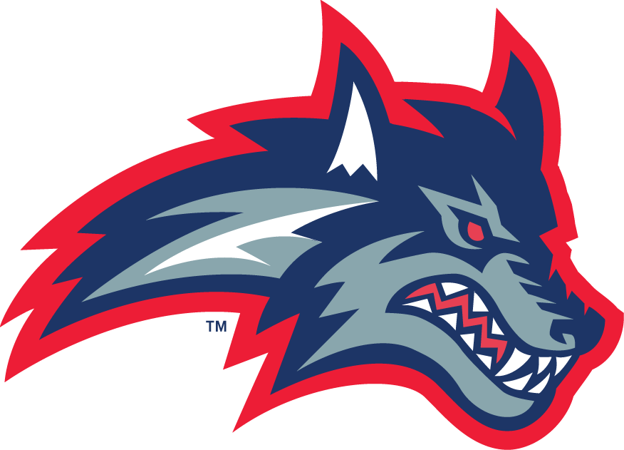 Stony Brook Seawolves 1998-2007 Secondary Logo diy DTF decal sticker